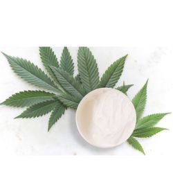 UNGÜENTO DE CANNABIS ANANDA TERRA